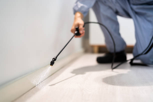 Licensed Termite Control service in Williamson, WV - Nex Pest Control