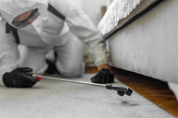Professional Termite Control technician working in Williamson, WV