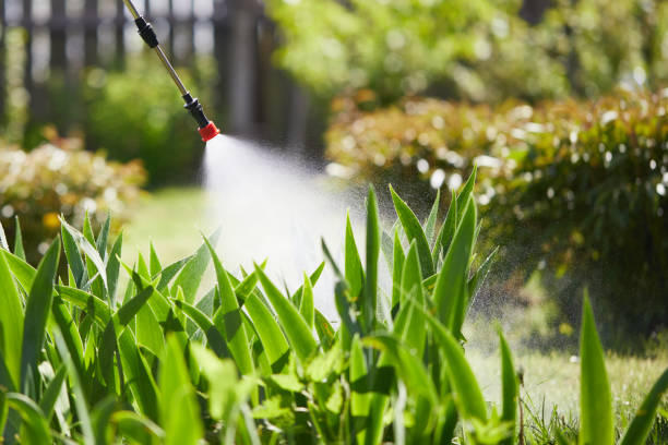 24/7 Emergency Termite Control experts in Williamson, WV