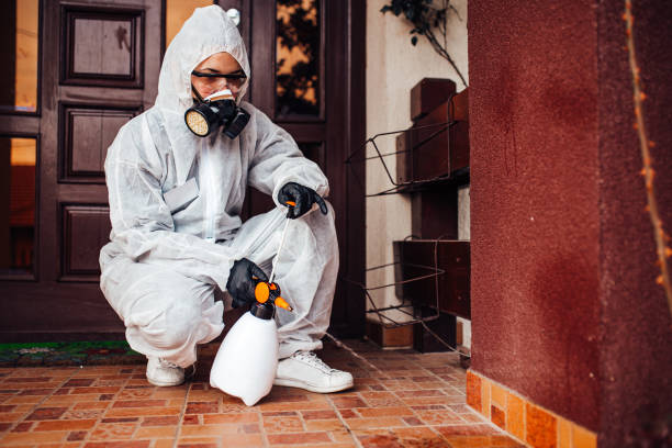 Reliable Termite Control contractor in Williamson, WV by Nex Pest Control